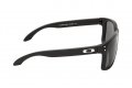 Okuliare Oakley Holbrook XL Prizm OO9417-2259    | SPORT-okuliare