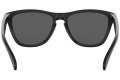Okuliare Oakley Frogskins Prizm OO9013-C455  | SPORT-okuliare