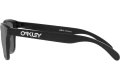 Juniorske Okuliare Oakley Frogskins XS Prizm Polarized OJ9006-3153   | SPORT-okuliare